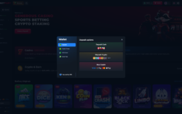 Betfury Casino Cashier