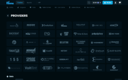 Winna Casino Providers