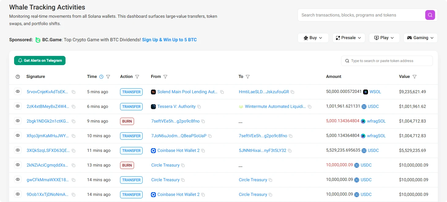Solscan platform whale tracking activities